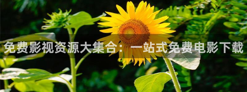 古墓丽影h版天狼影院：免费影视资源大集合：一站式免费电影下载