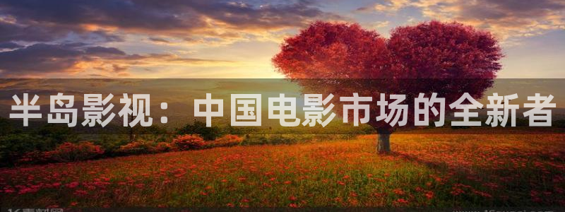 天狼影音在线观看免费追剧：半岛影视：中国电影市场的全新者