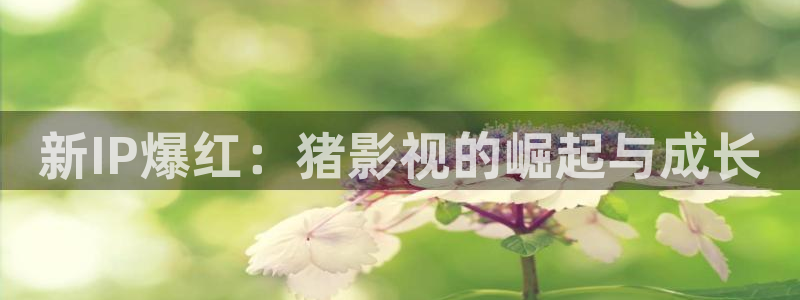 天狼影视在线观看网站：新IP爆红：猪影视的崛起与成长
