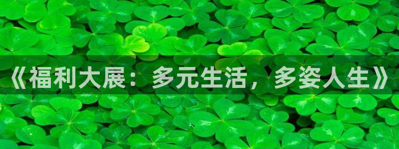 天狼影院y：《福利大展：多元生活，多姿人生》