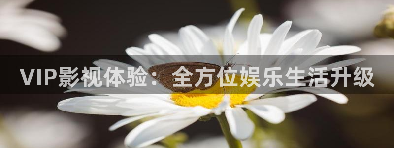 天狼理论影院：VIP影视体验：全方位娱乐生活升级
